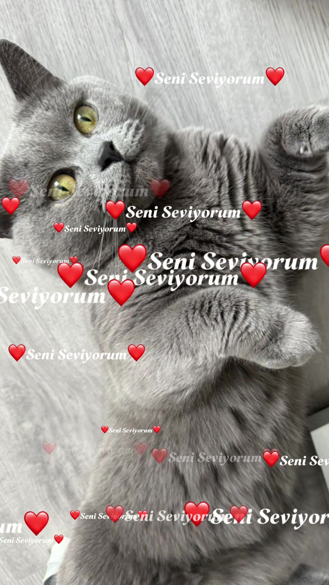 @🇹🇷͜͡͡✯TUĞBA🇹🇷͜͡͡✯