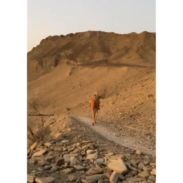 @IMTBaloch