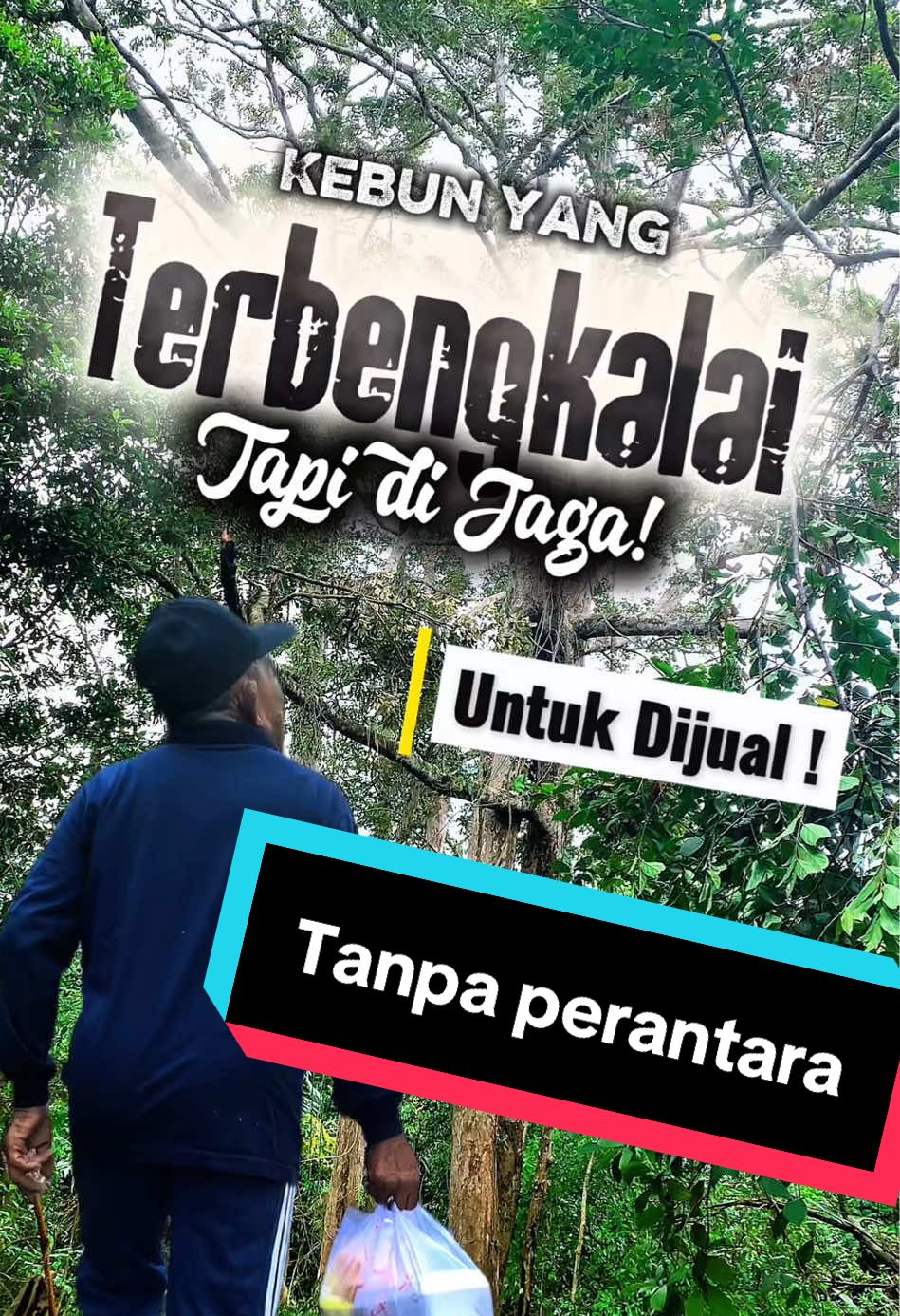 @Seroja merah