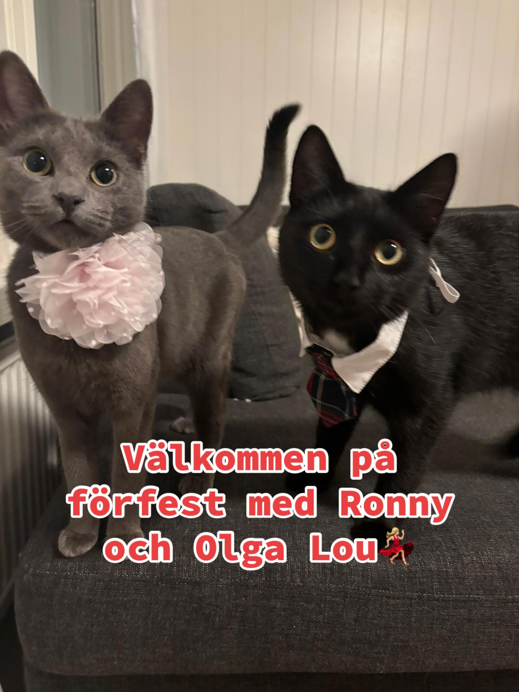 @ronnyolga