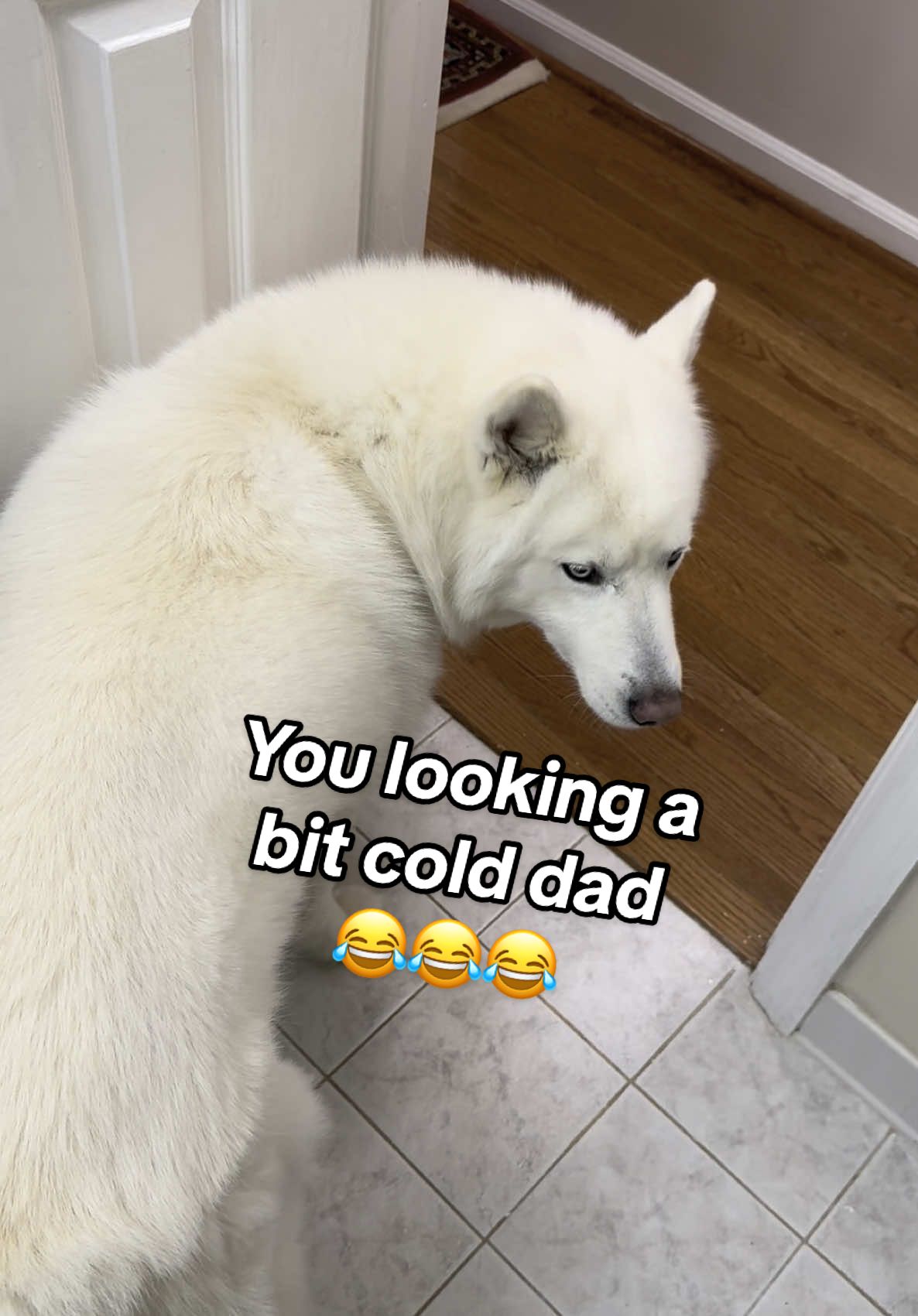 @Tundra