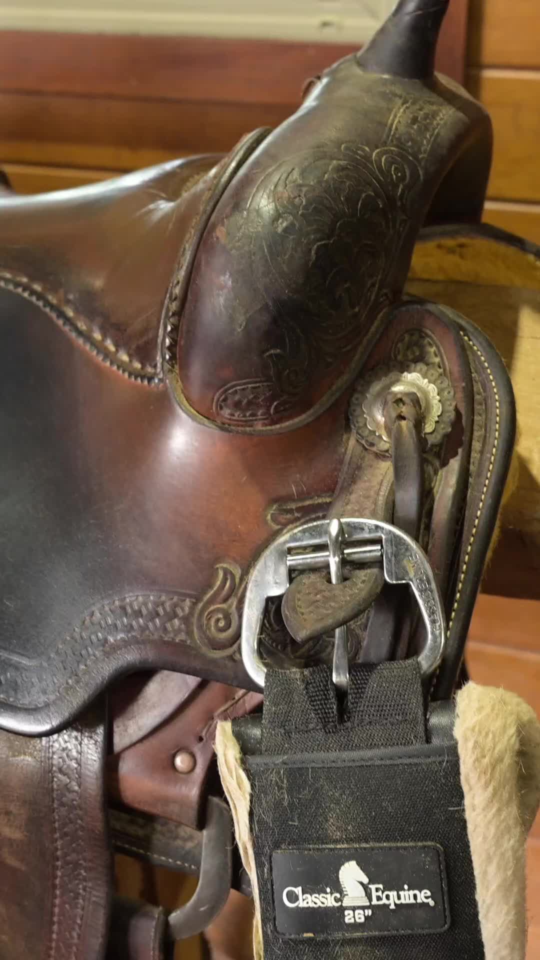 @Larson Performance Horses