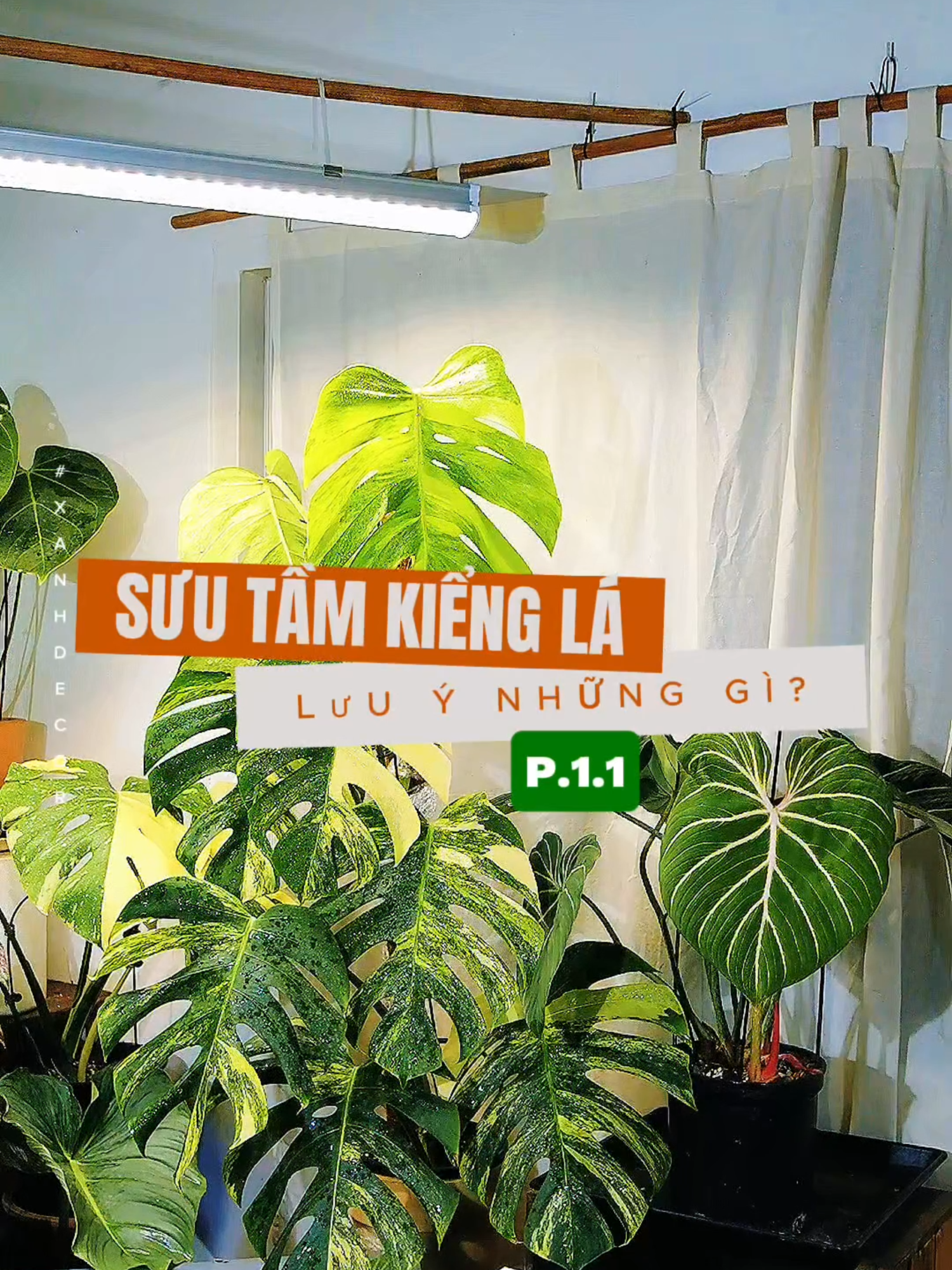 @Xanh Decor