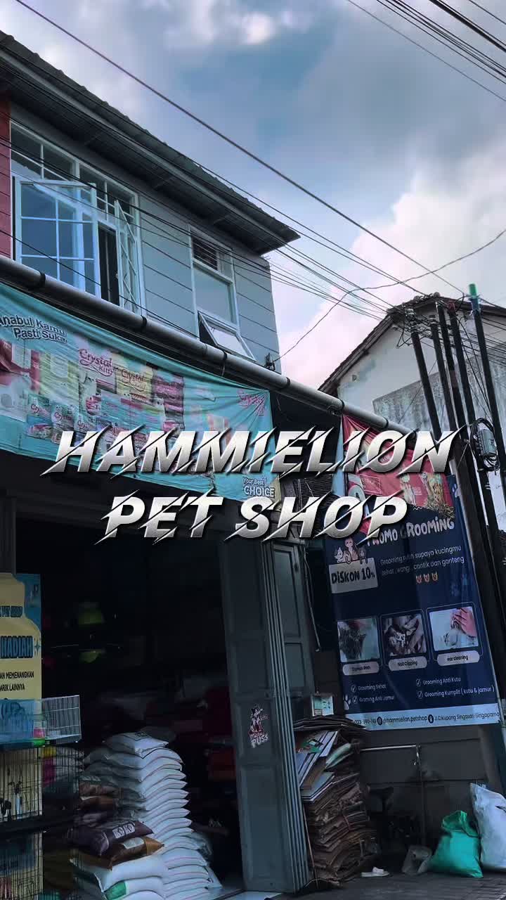 @Grosir Hammielion Petshop