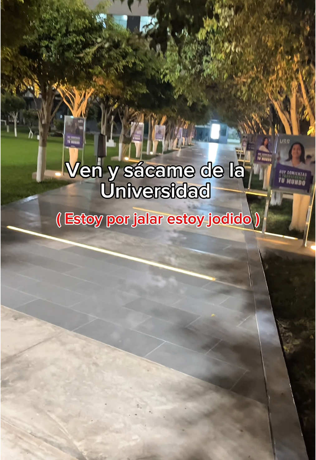 @Gatocix 🐱
