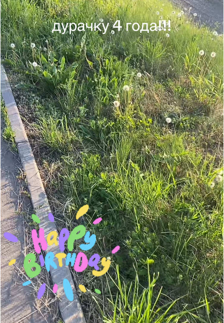 @пирдуха
