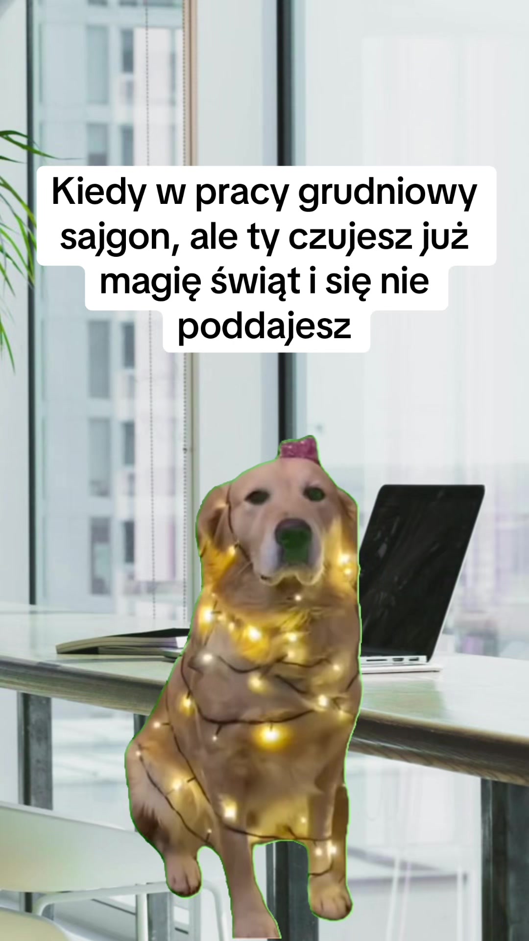 @mem08