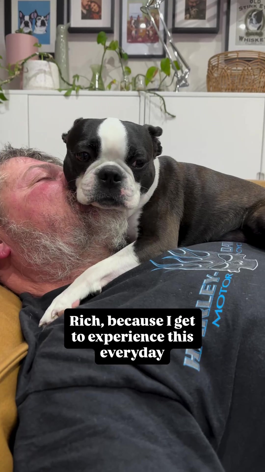 @boston.terrier.shop