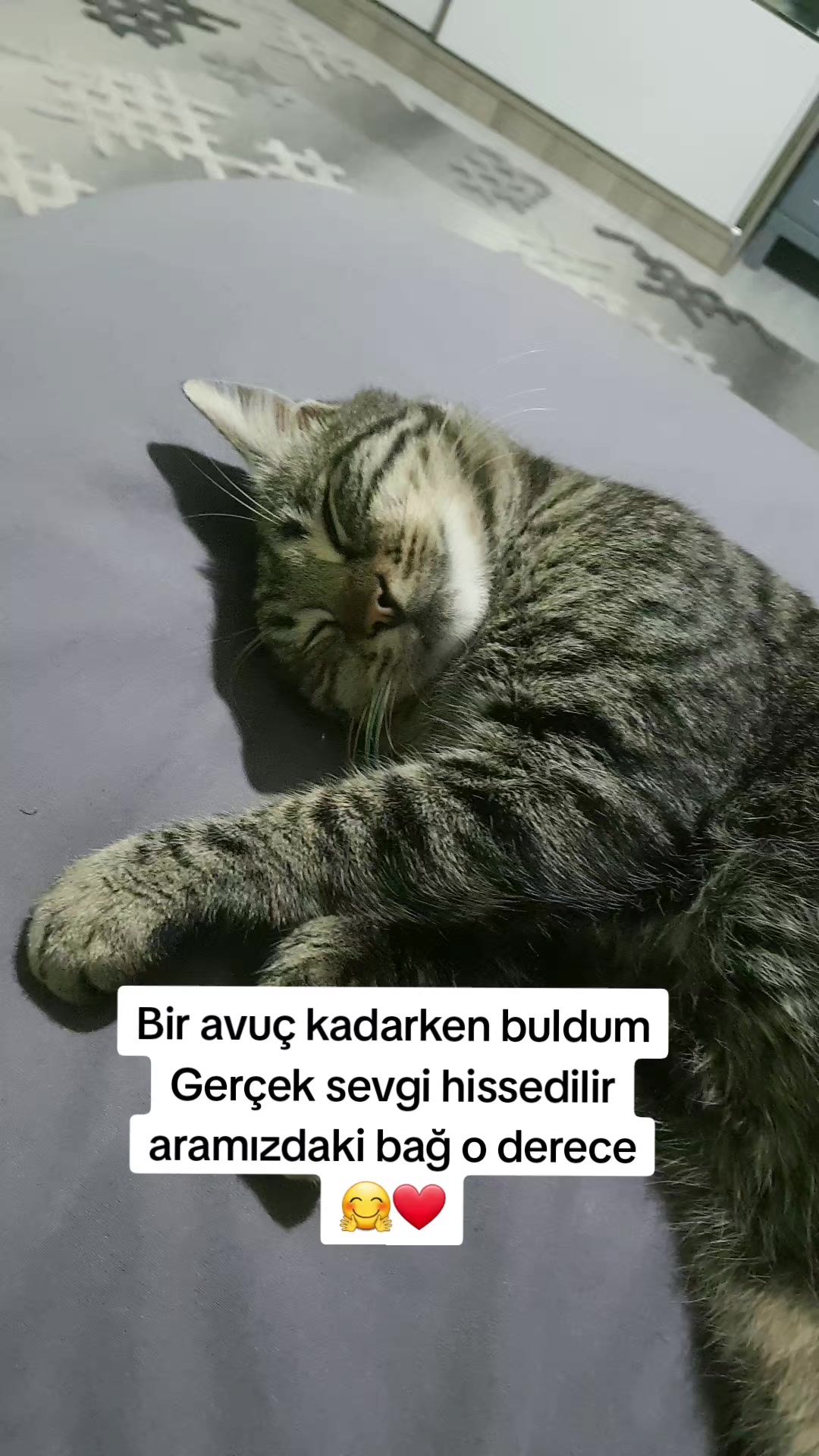 @kuzey