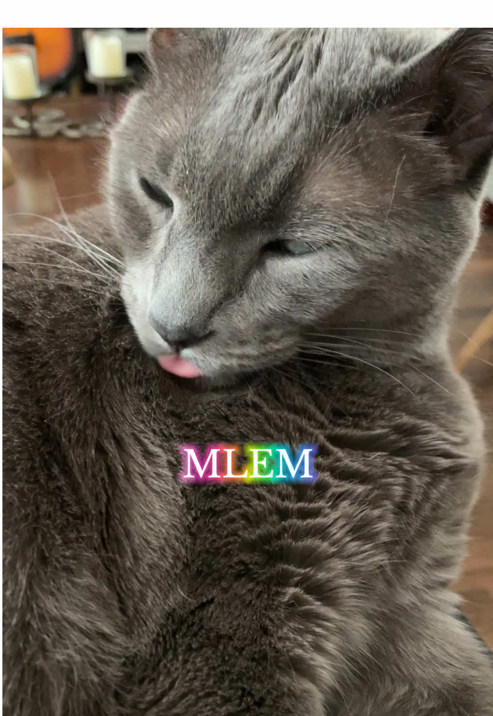 @ACatNamedMushroom