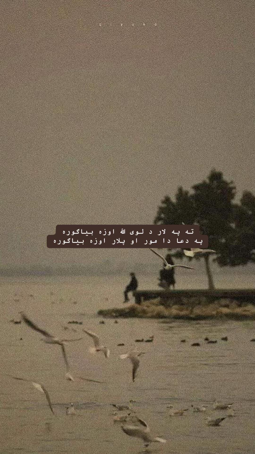 @rooh_e_khwab