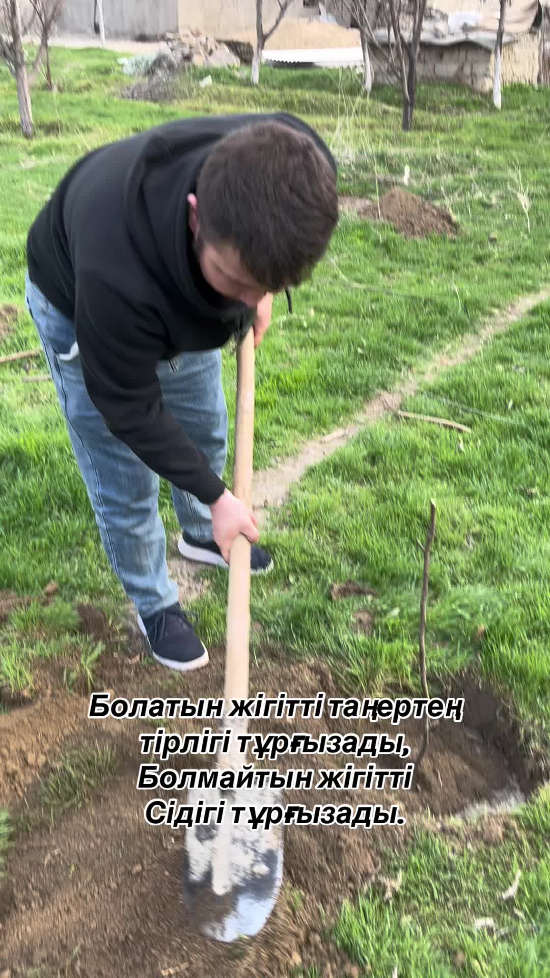 @Жанибек Тамада