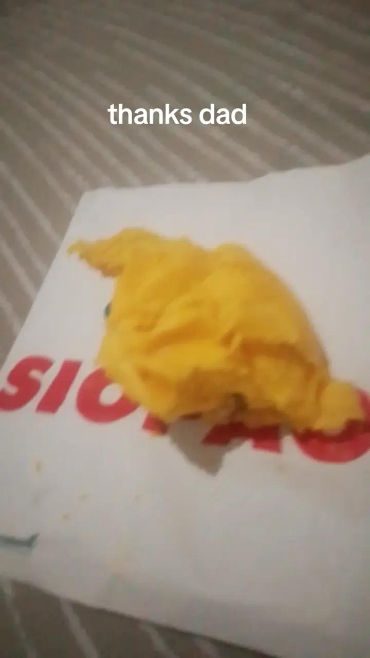 @dog