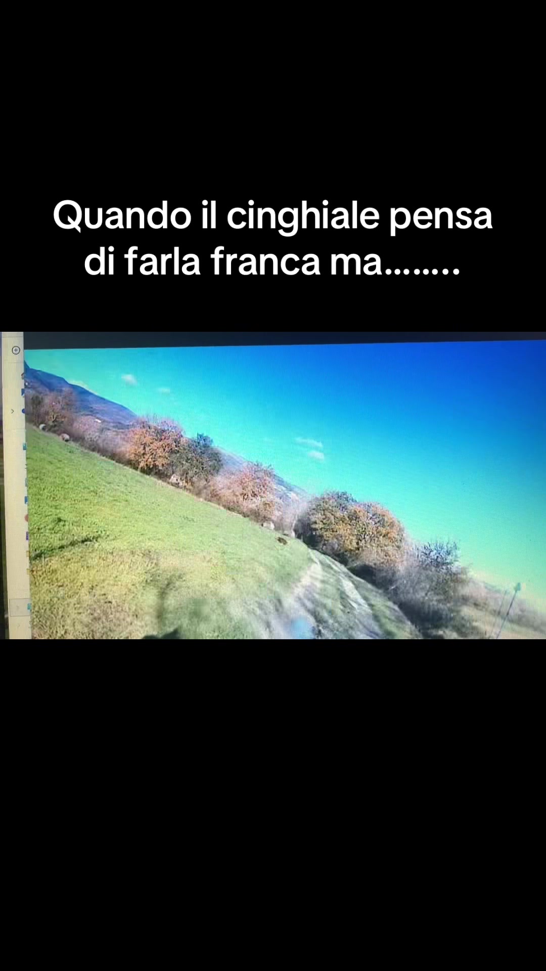 @Andrea D'Andrea