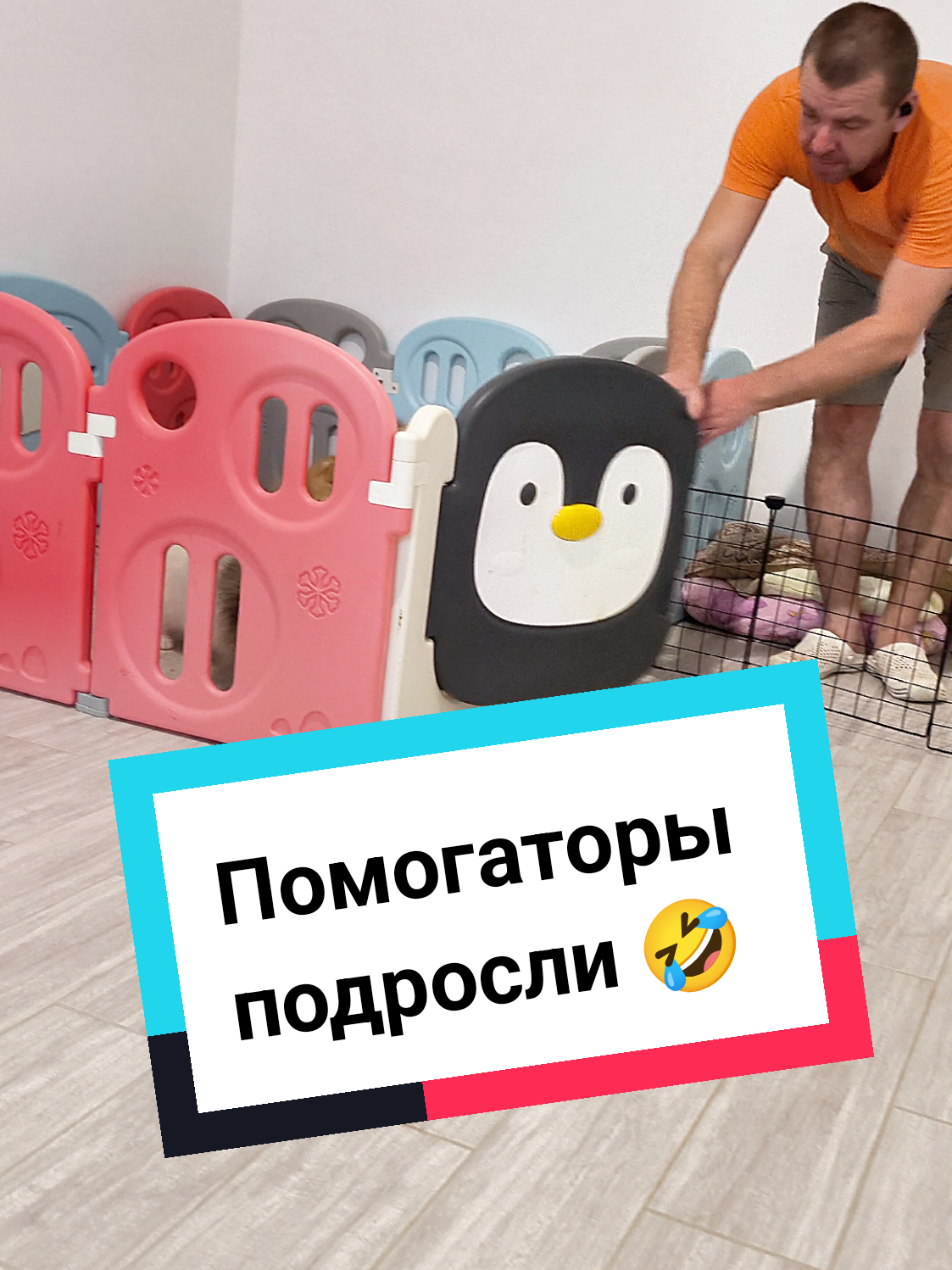 @Veronika Tkachuk