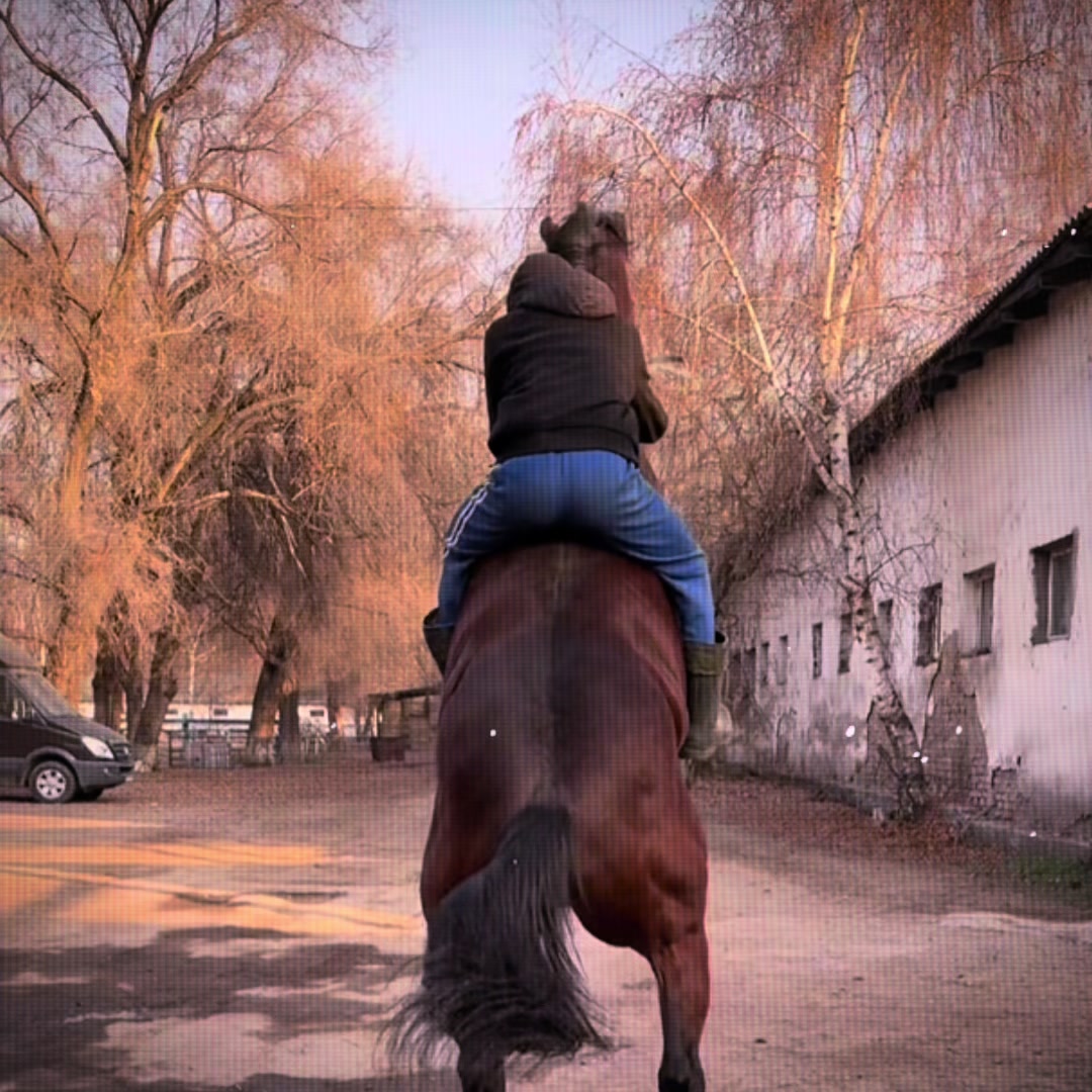 @🐎✨