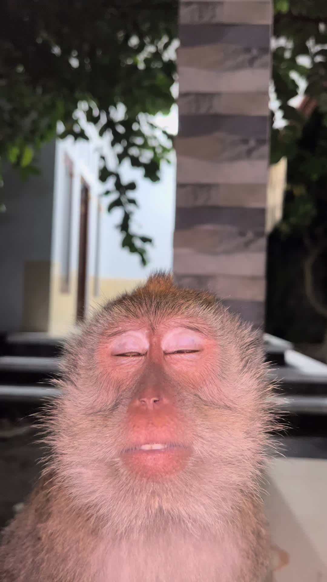 @kj