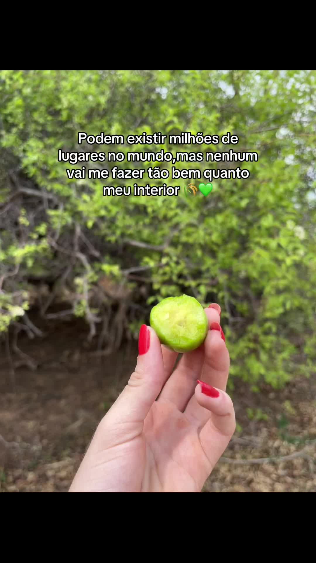 @Ronaria Moura💗