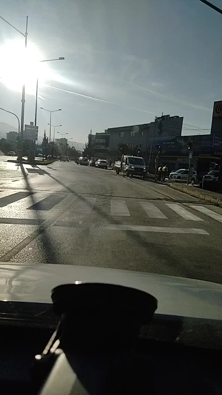 @yaşlı kurt