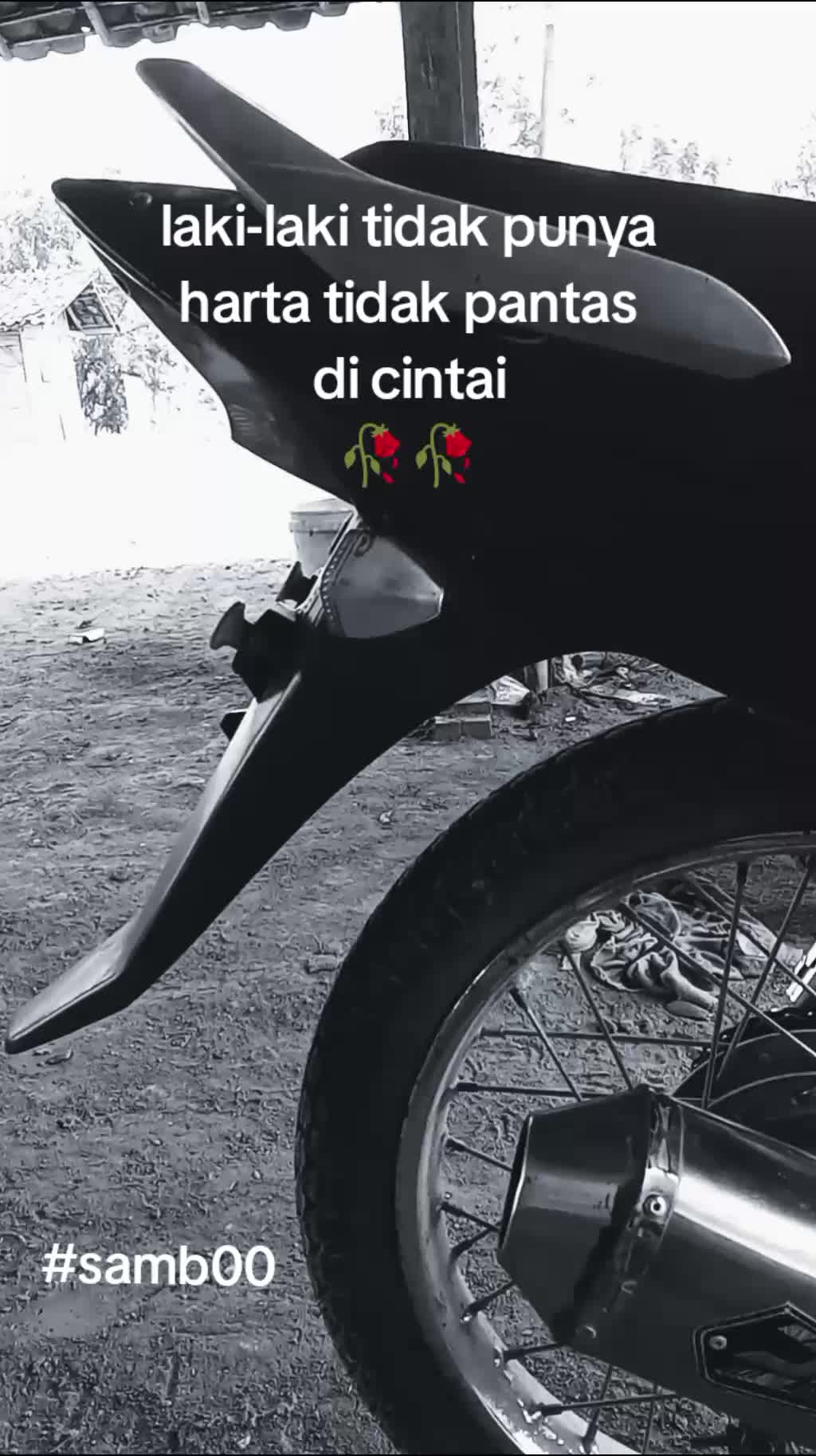@FERDI....