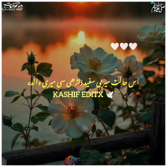 @Ali Shan