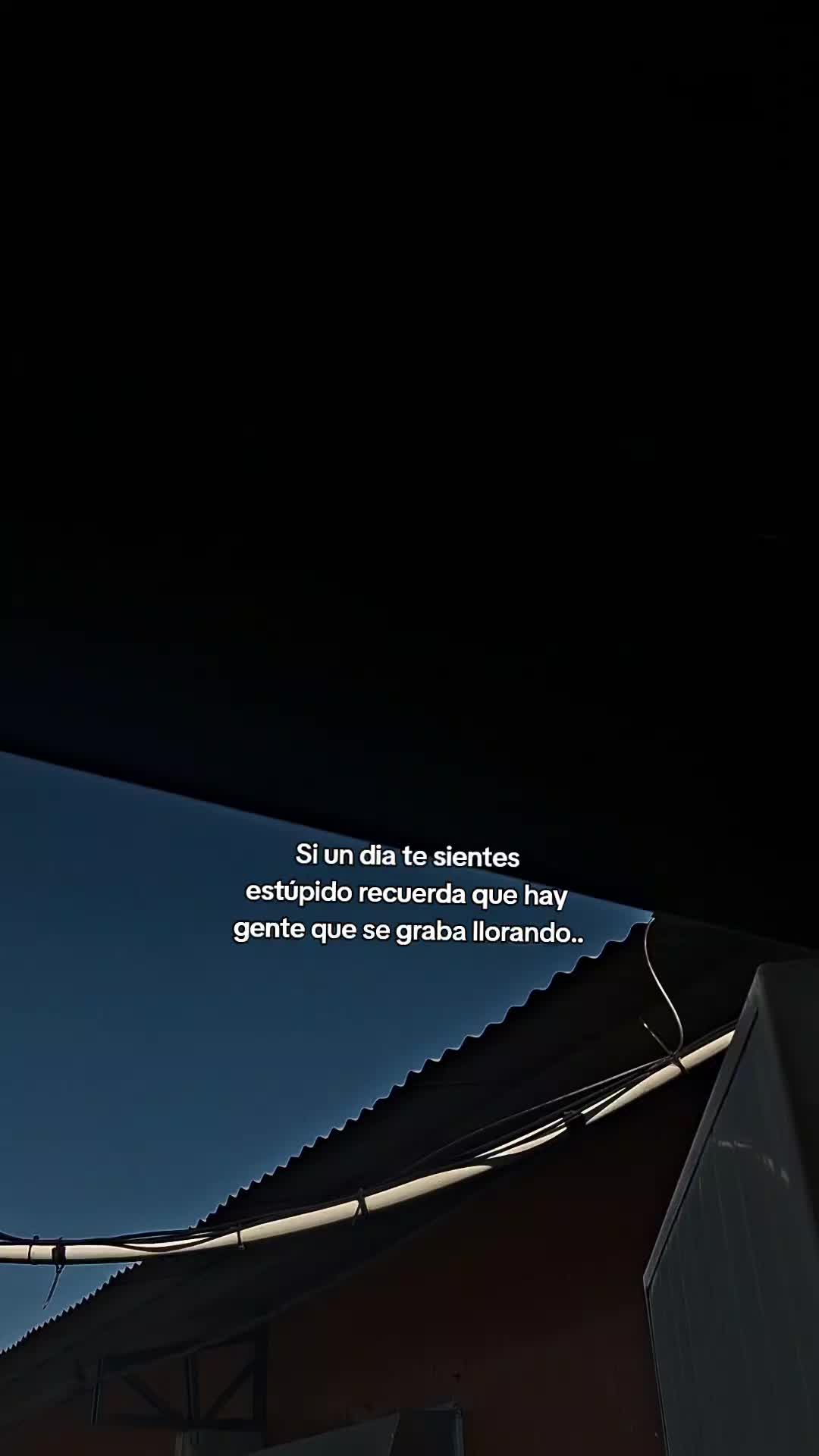 @Samux7 🦅