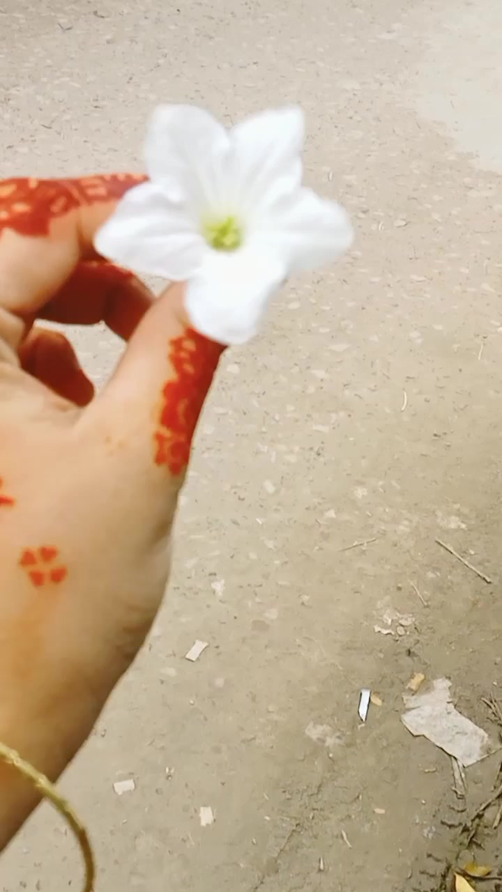 @🍁★~°মায়াবতী°~★🍁