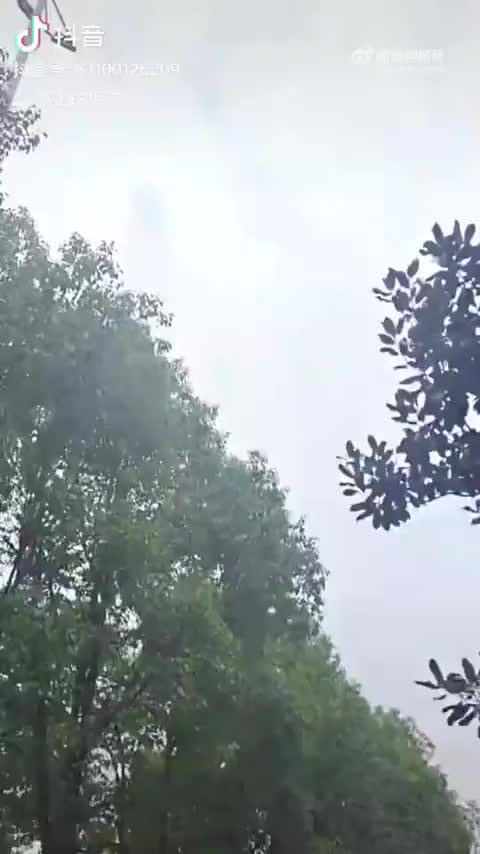@espozae