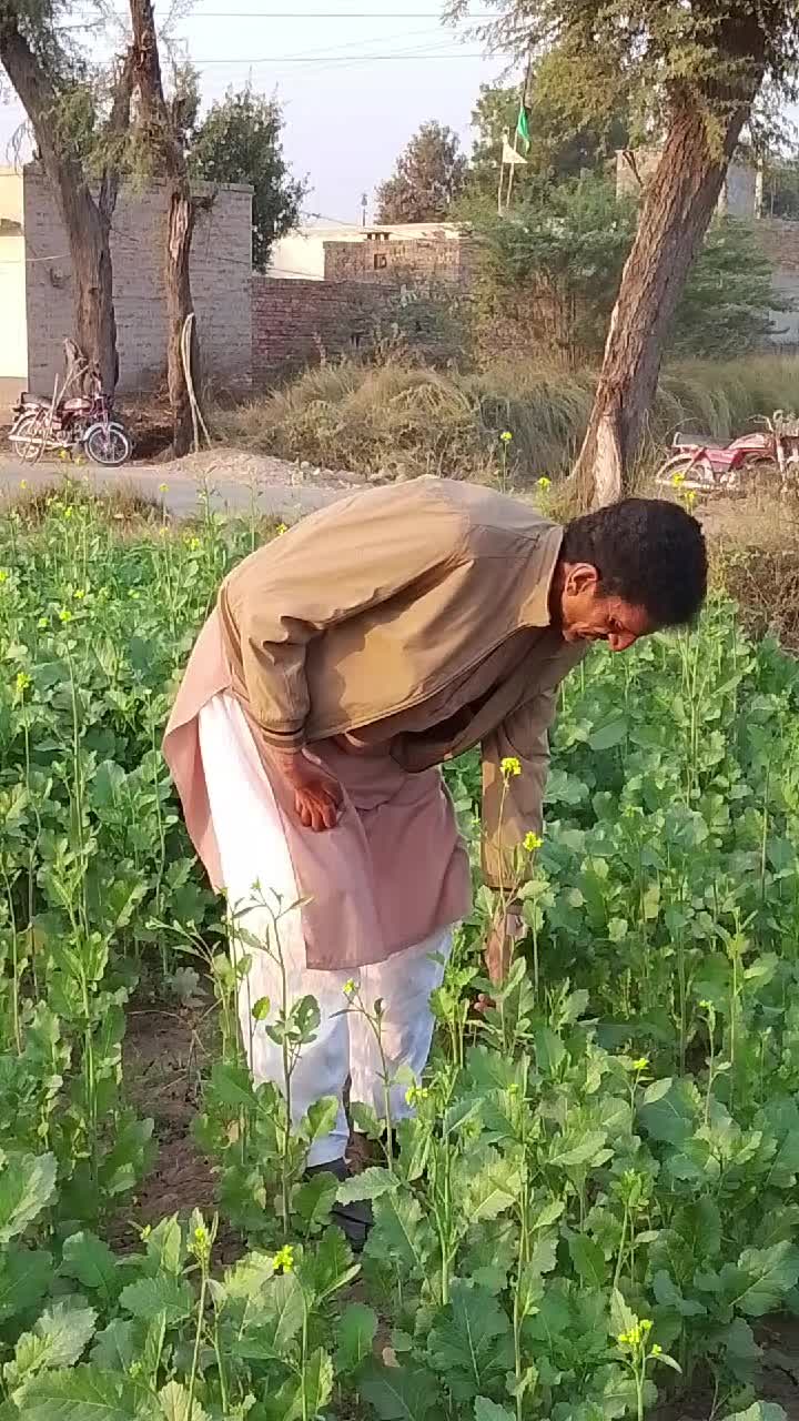 @m Khalid Abbas