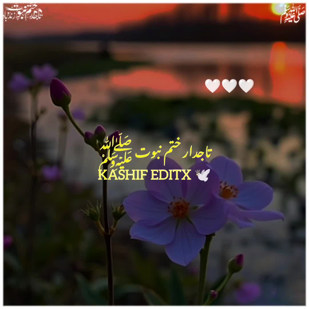 @Ali Shan