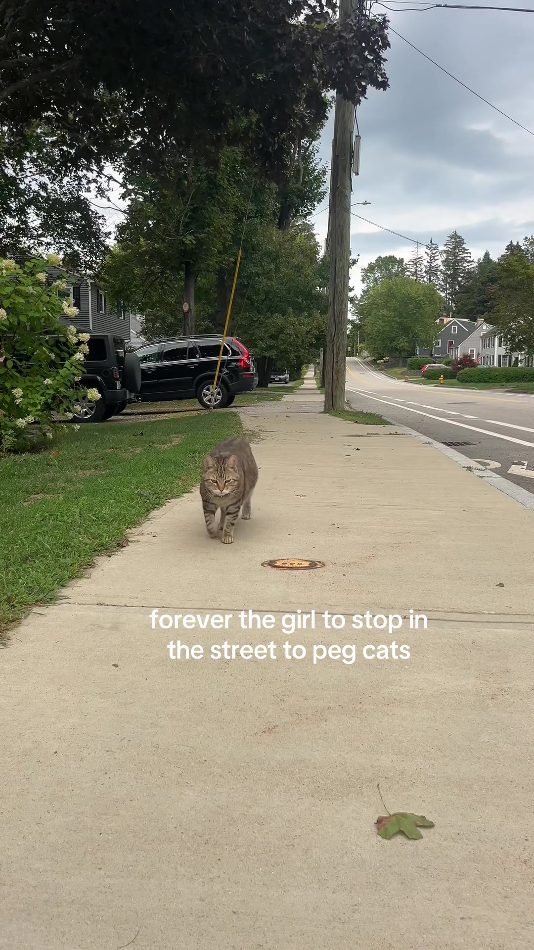 @Jess Appelbaum