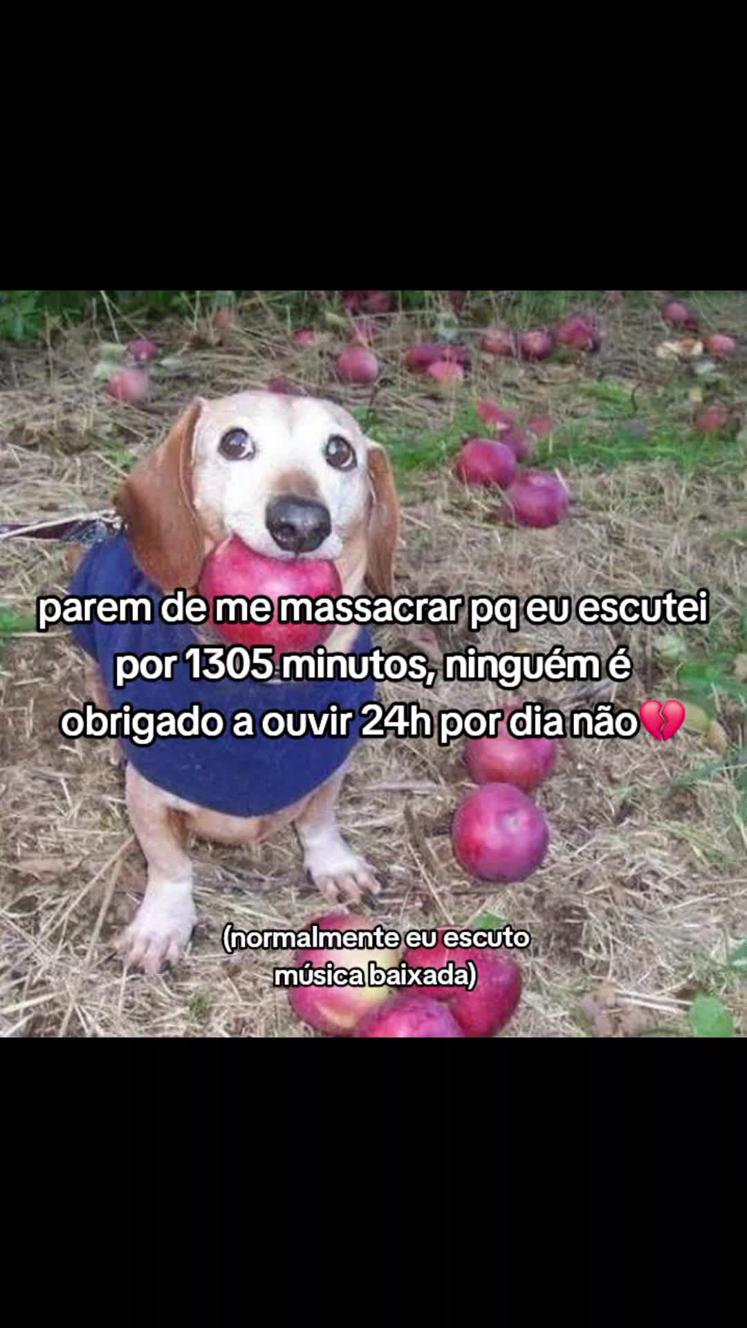 @zari☭
