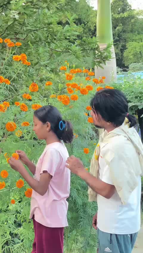 @Dhanendra Chaudhary (Agni )