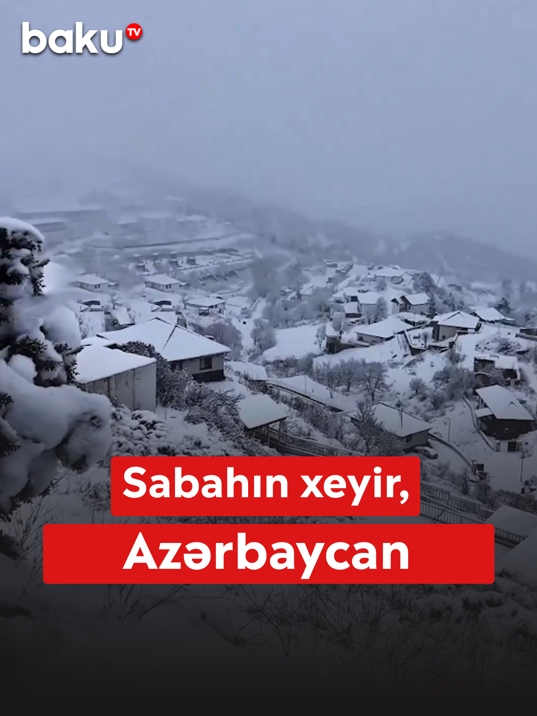 @baku.tv