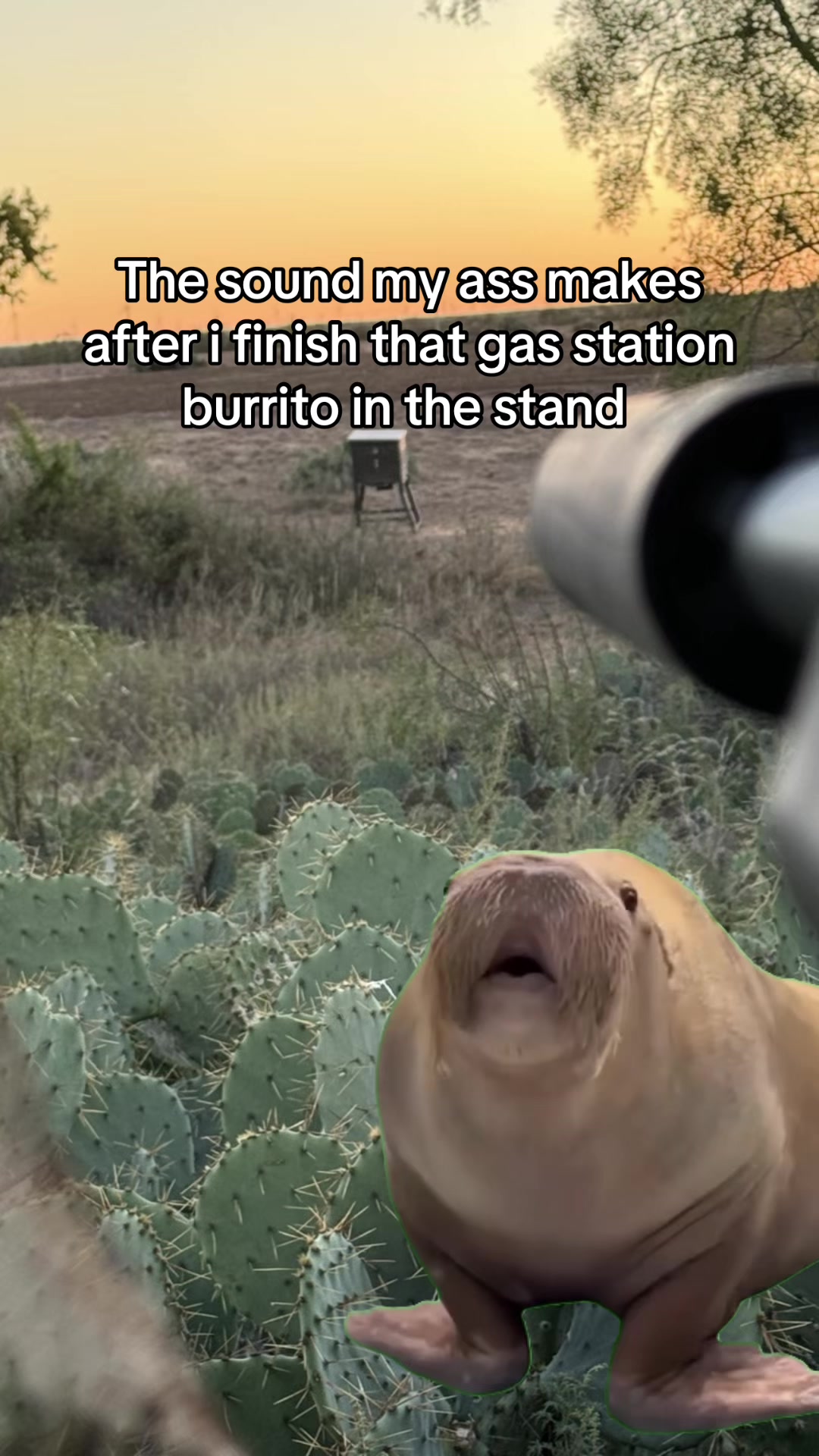 @TPHH