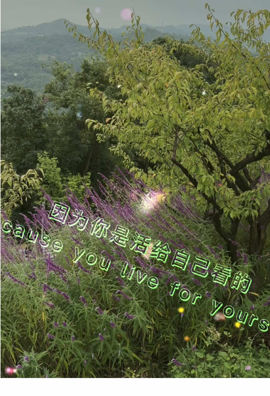 @菲菲