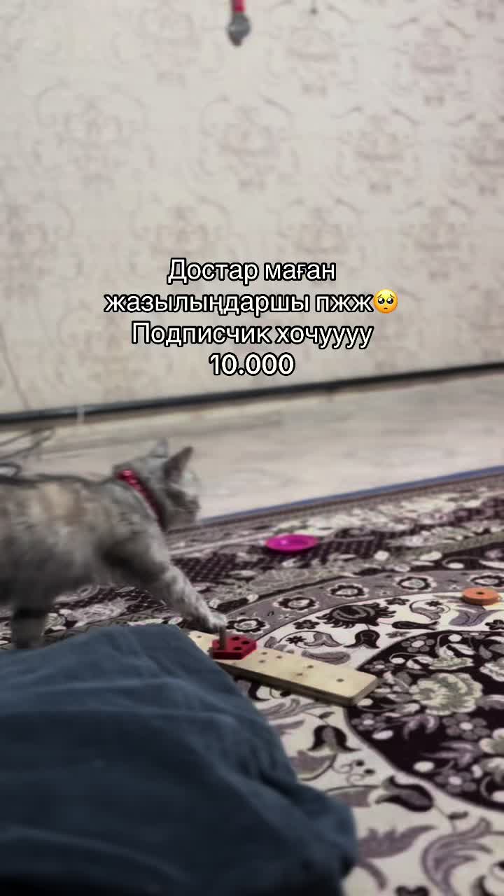 @boni04akx