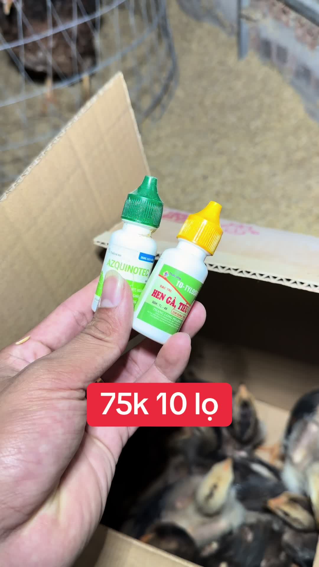 @Quyền Ba V&igrave;