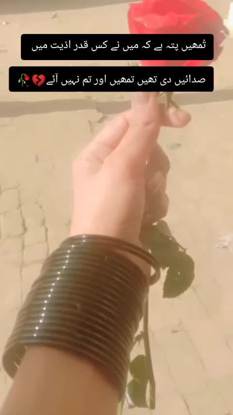 @sanaya rajpoot