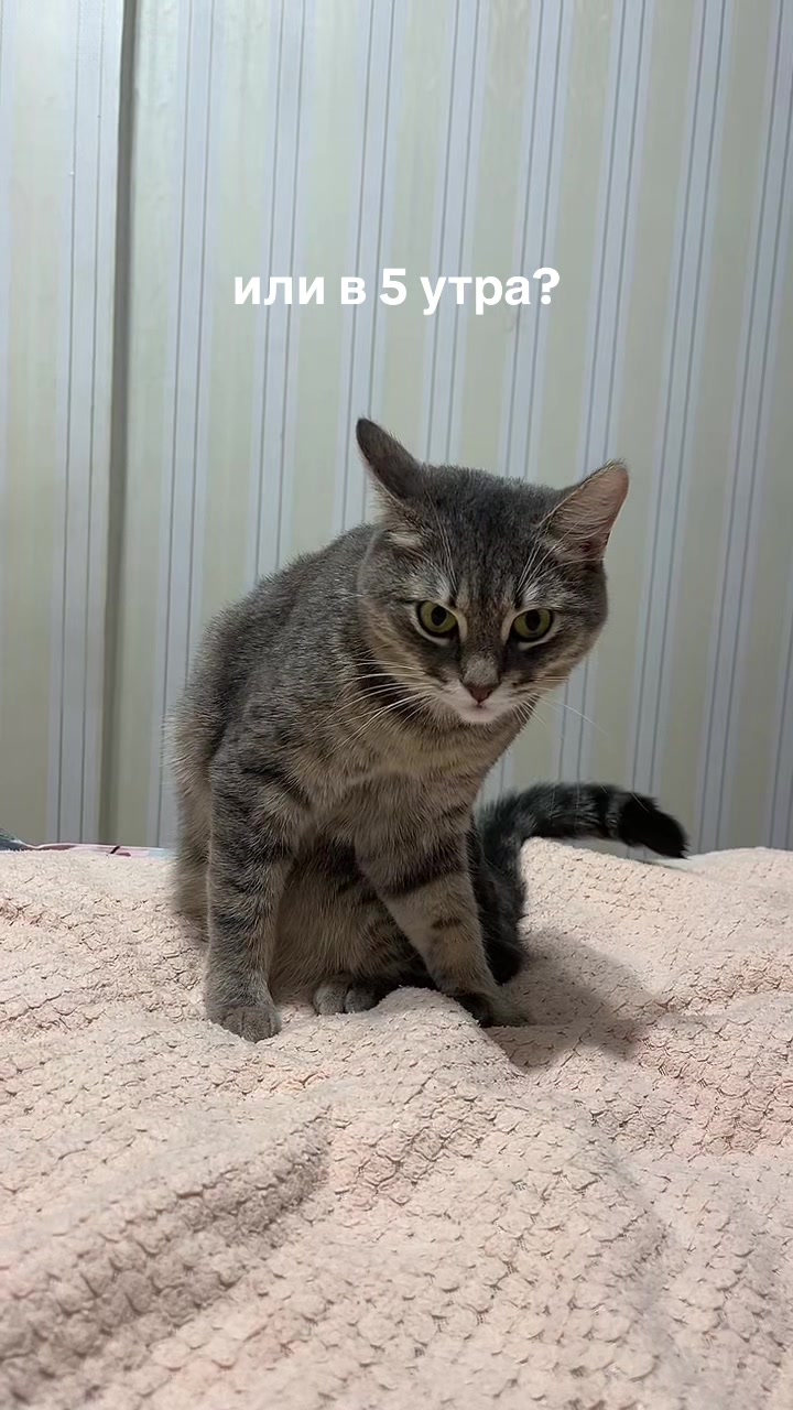 @ДАША | СММ | БЛОГ С НУЛЯ