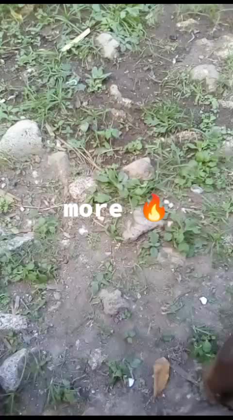 @Star