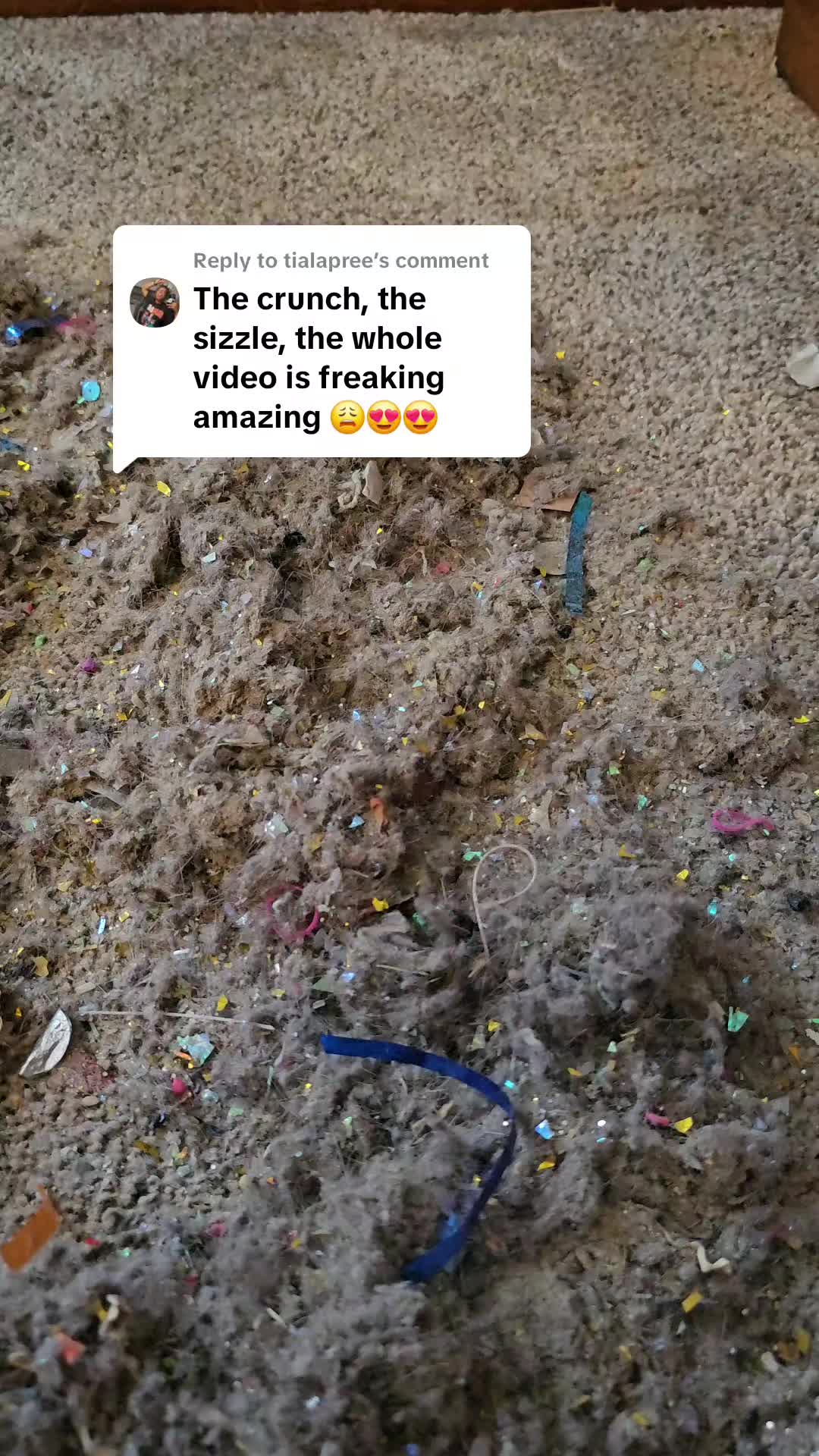 @vacobsessedmama