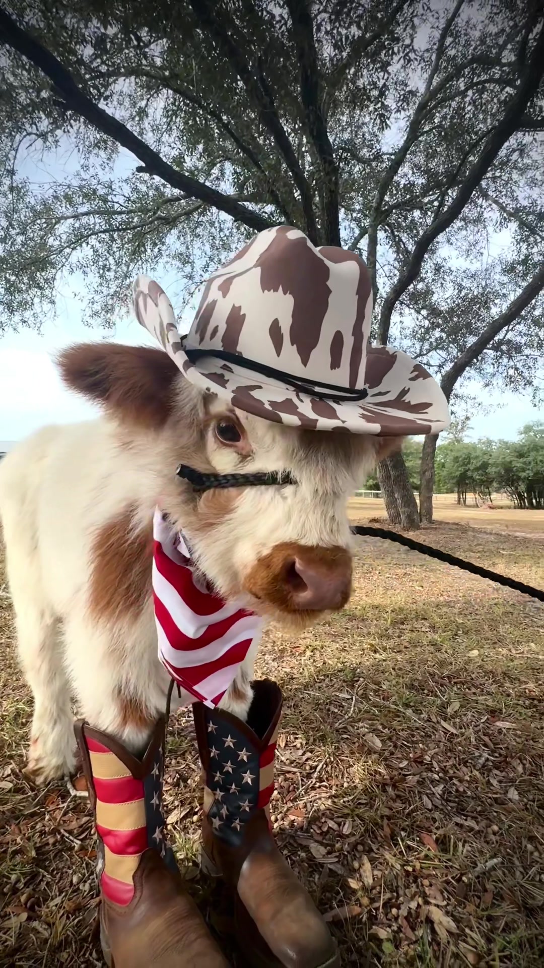 @WildernessRanch
