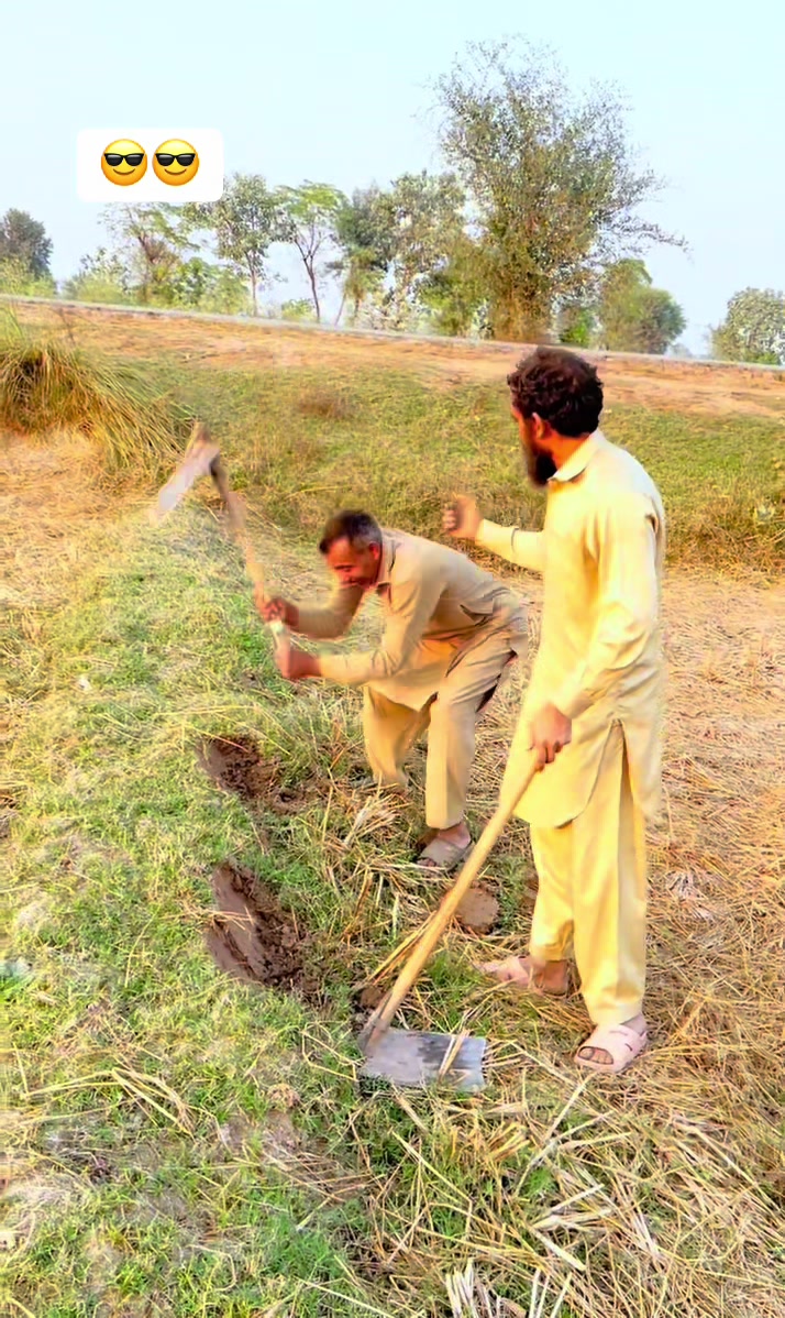 @پینڈو بوائز 378