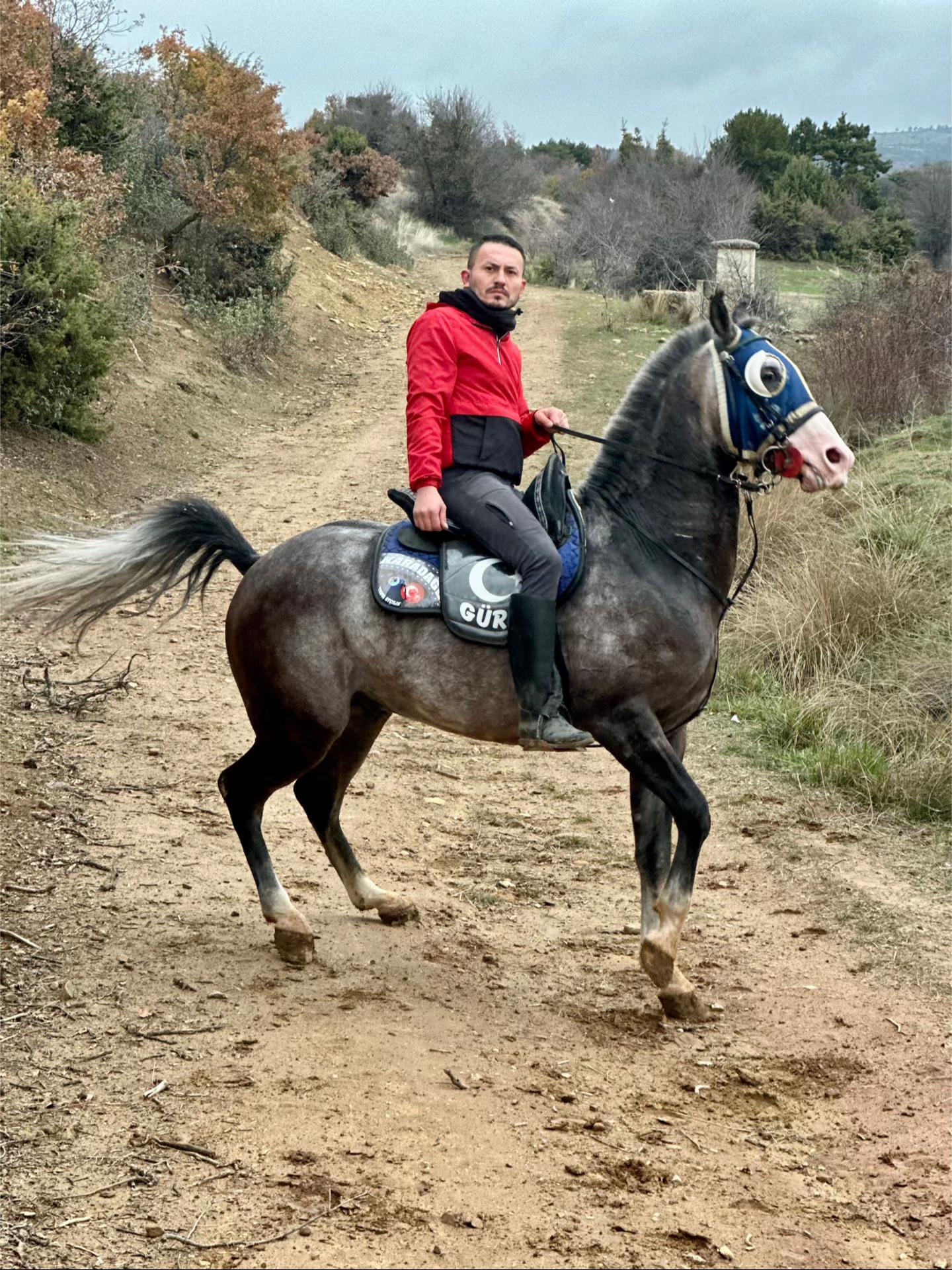 @Güray Çay