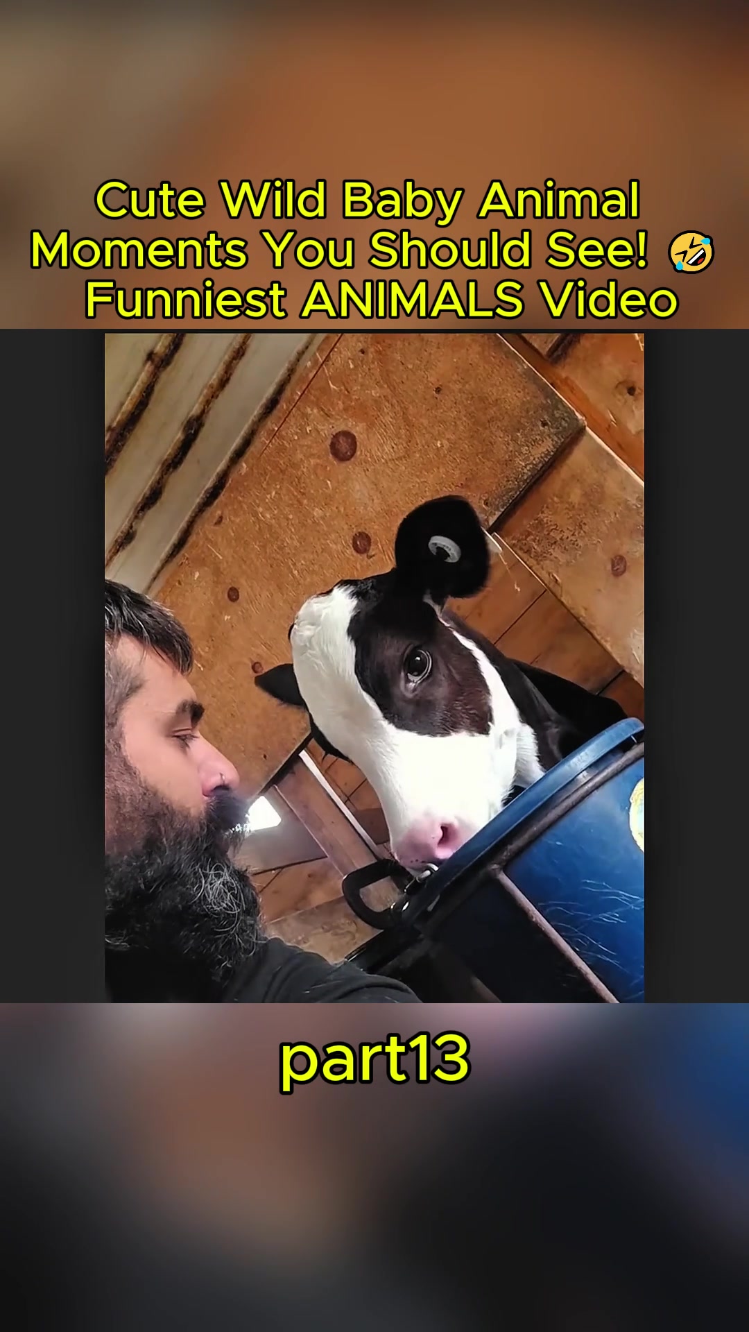 @uxifnfsiyyn
