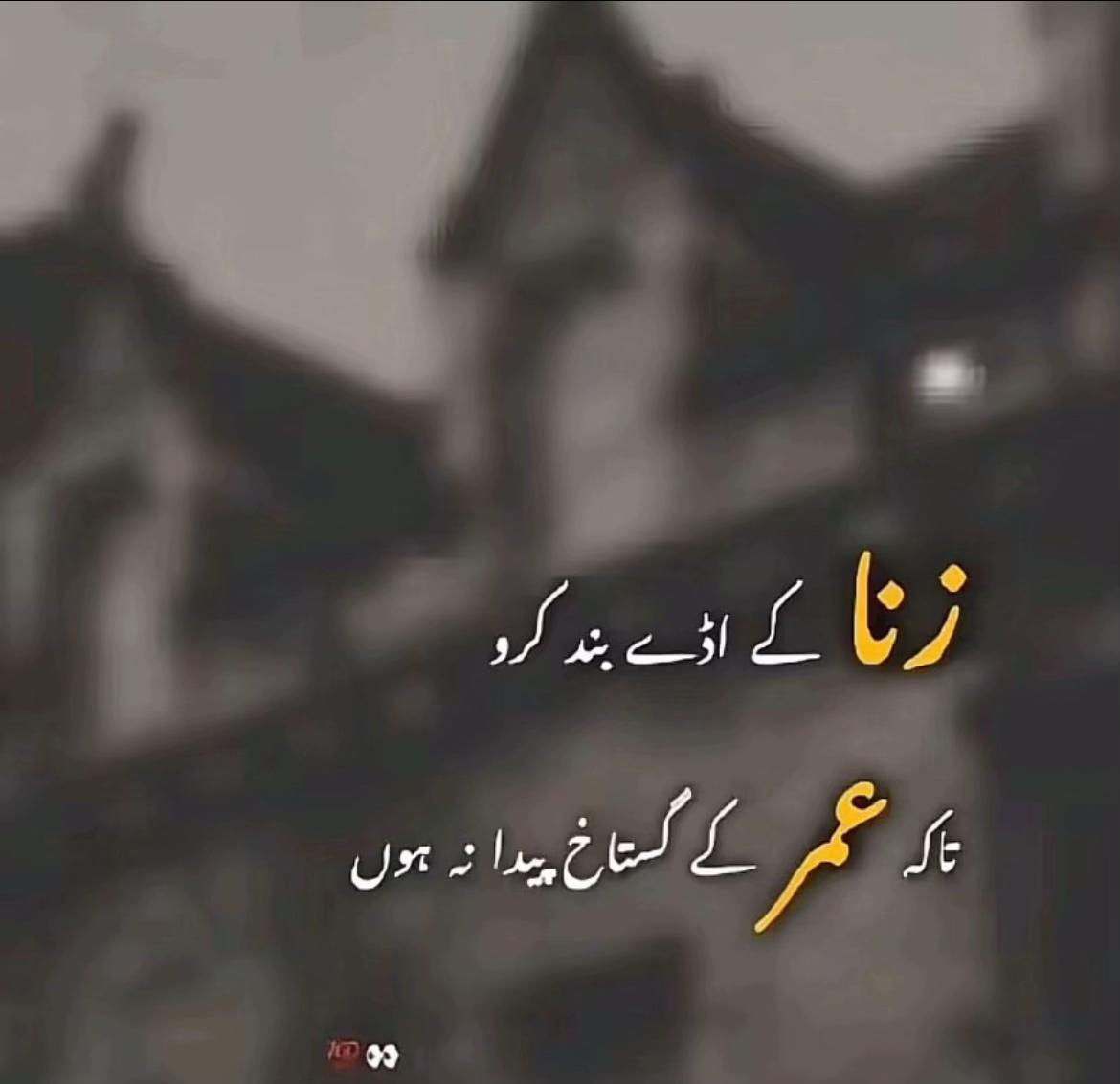 @ناٸب ناظم مہر عبدالللہ زنجانی