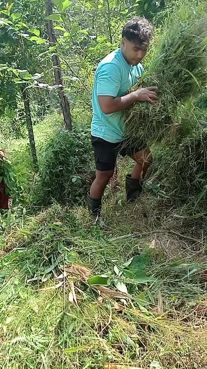 @Mr.( koshi)champion🥇2080🇳🇵