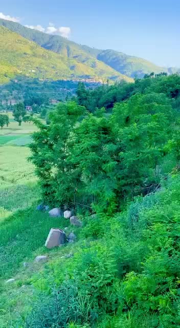 @Kashmir
