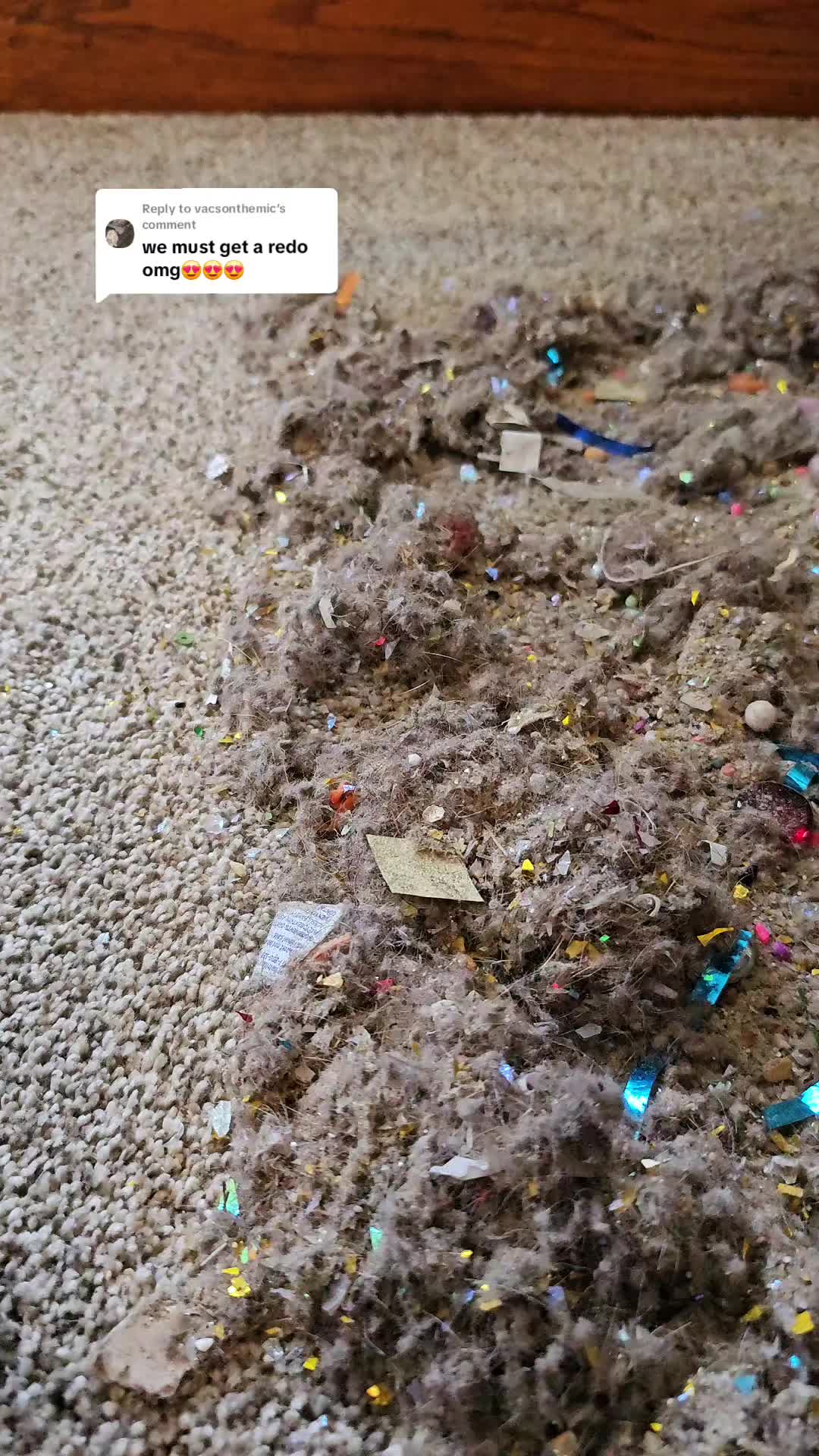 @vacobsessedmama